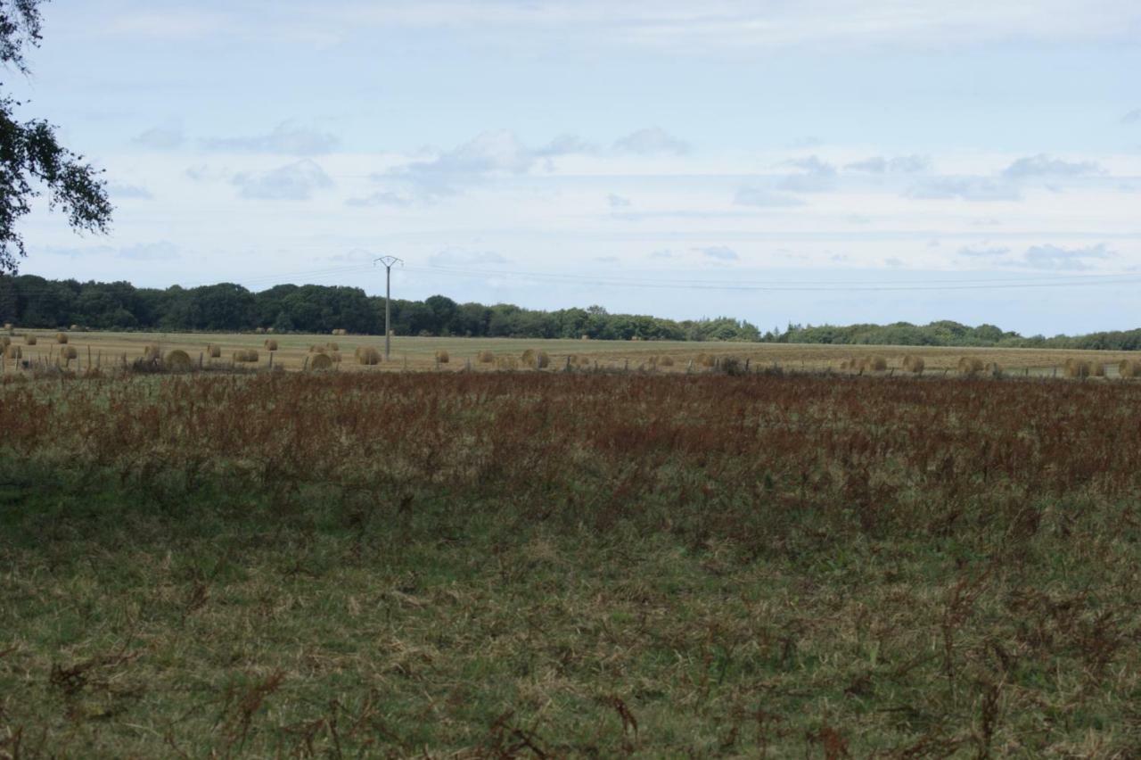 Le Tiot Gite Le Bois de Cise Exterior foto
